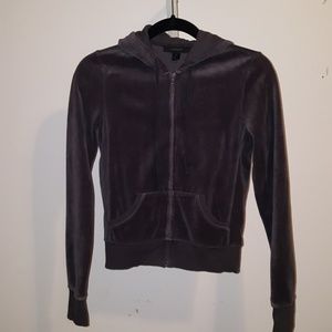 Express Velour Sweatsuit